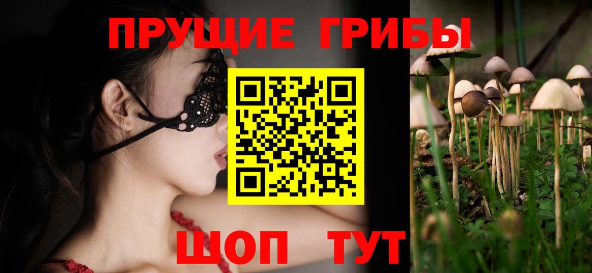 Сегежа  Псилоцибиновые грибы прущие грибы  Вход с VPN 